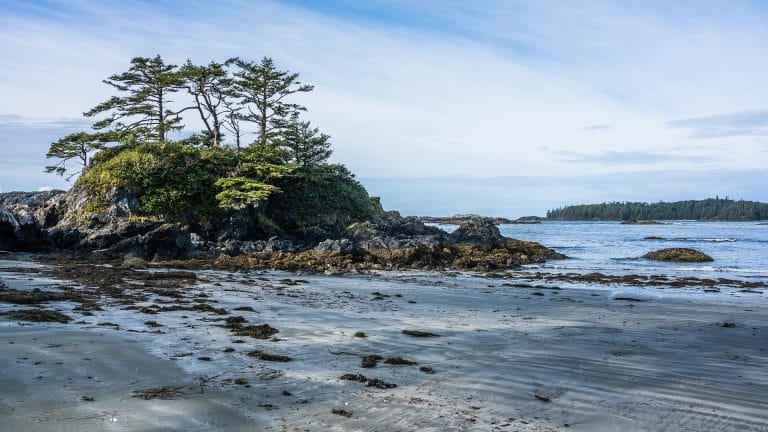 top airbnb markets in canada