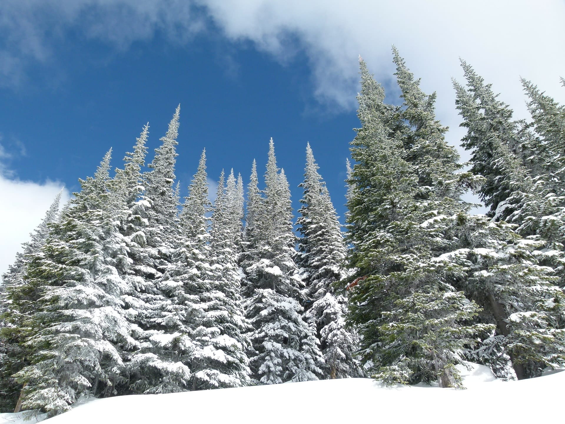 Vacation Rental Management in Sun Peaks