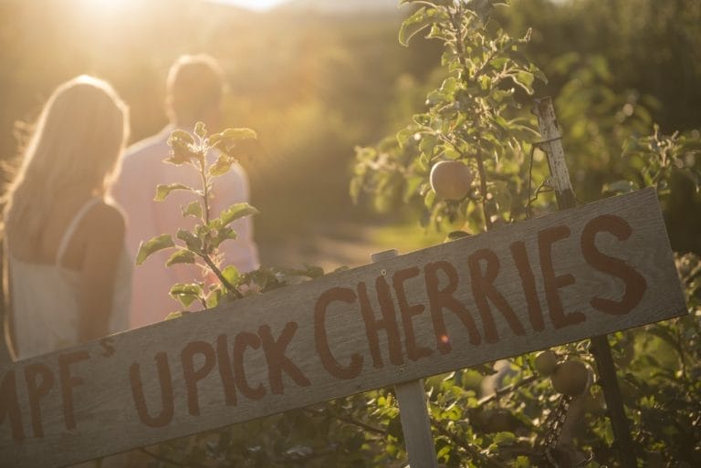 BC U Pick Cherry Farm