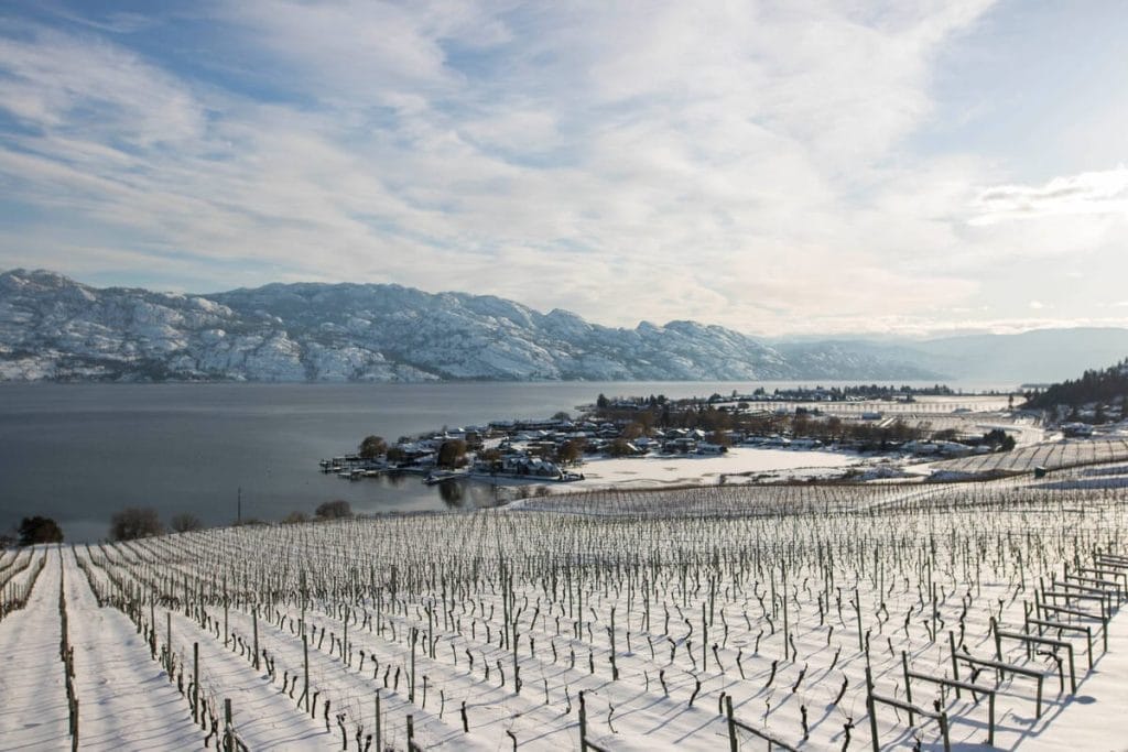 Snow-covered vineyard slopes down toward a lake, with a small community near the shore and mountains in the background under a mostly cloudy sky—an inviting scene near some of the best wineries to visit in West Kelowna.