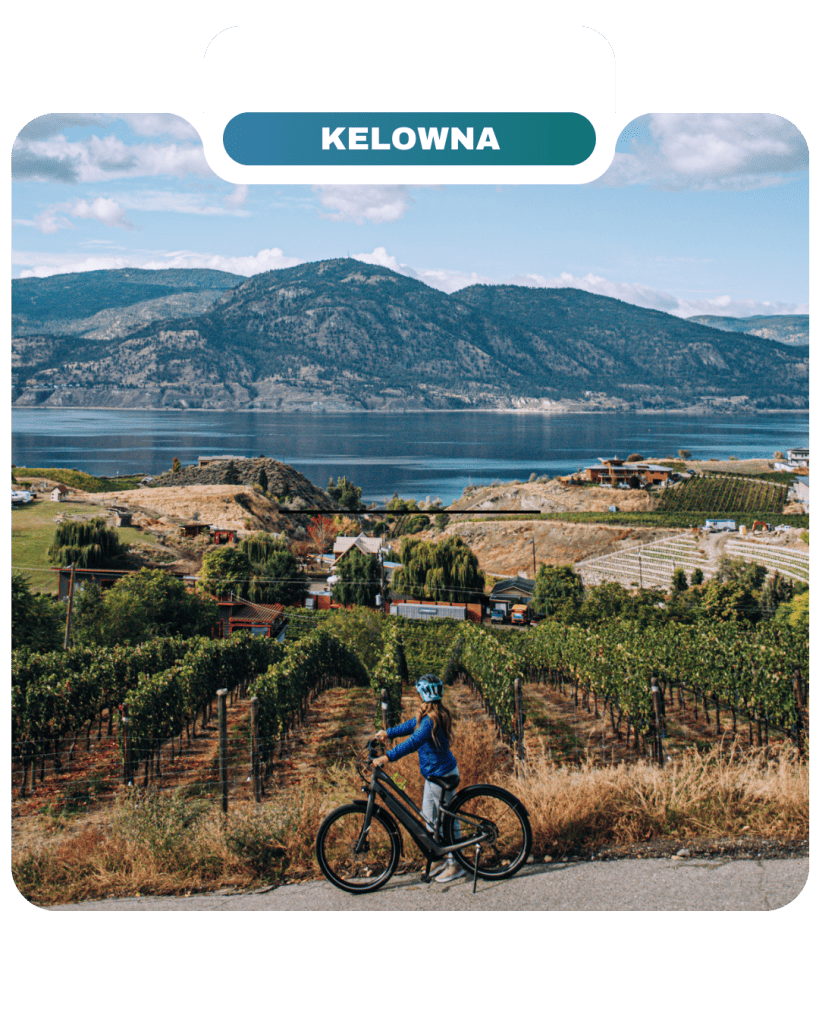 A person with a bicycle stands on a path overlooking vineyards, a lake, and majestic mountains under Kelowna’s blue sky—embracing the Lifty Life.