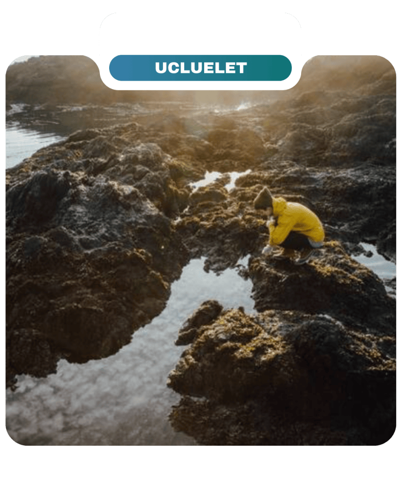 Person in yellow jacket crouches on rocky shoreline beside a tidal pool under cloudy sky, with a sign reading "Ucluelet" above the image—a perfect scene for Lifty Life adventurers seeking coastal exploration.