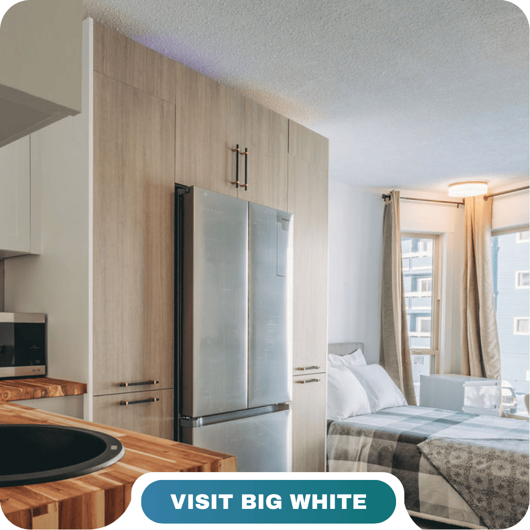 A modern studio apartment with a stainless steel fridge, wooden cabinetry, and a bed near large windows with beige curtains. Experience the comfort of Lifty Life—text on image reads: "VISIT BIG WHITE.