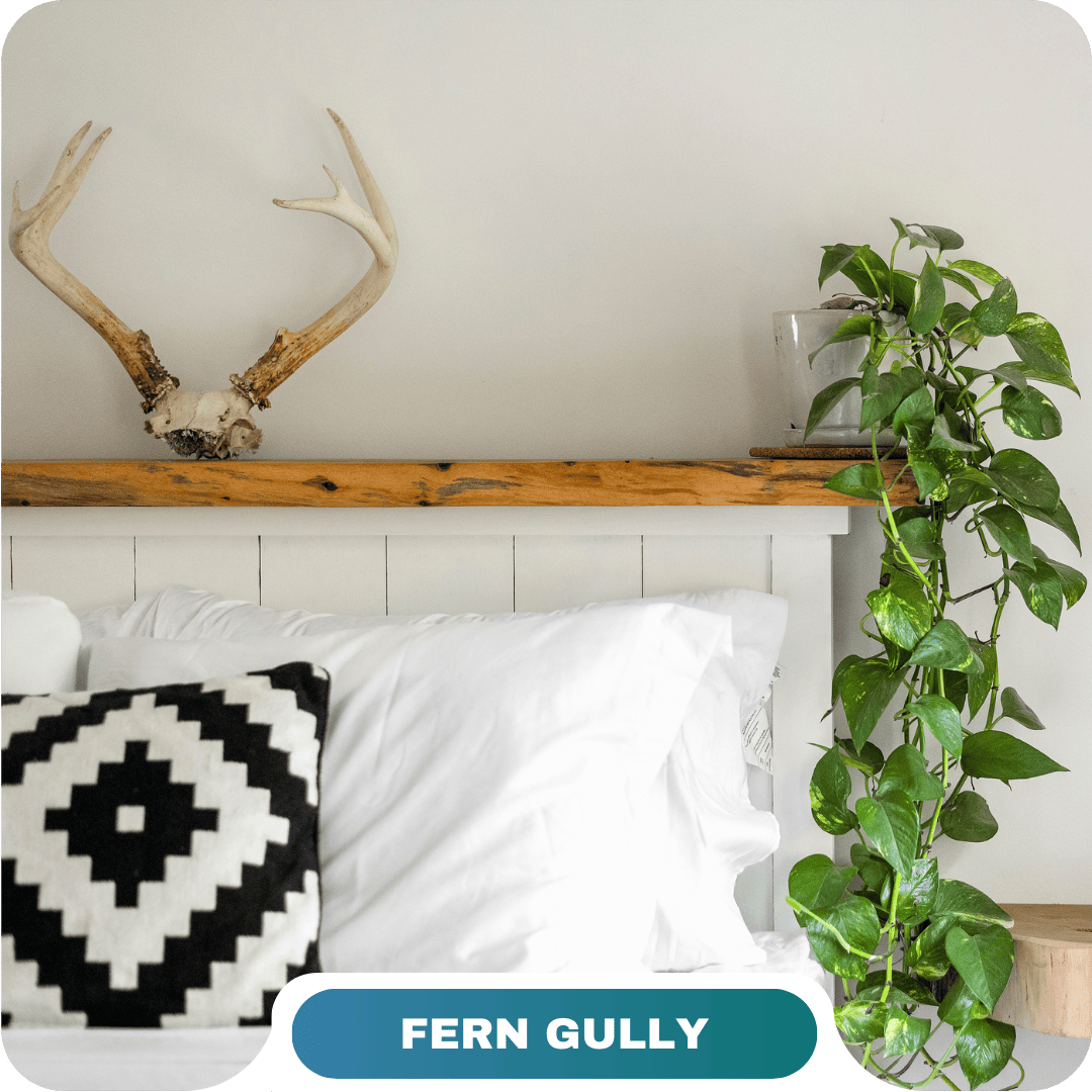 A bed with white linens and a black-and-white geometric pillow; antlers and a potted vine plant rest on a wooden headboard against a light wall—perfect for relaxing after exploring vacation rentals in Big White.