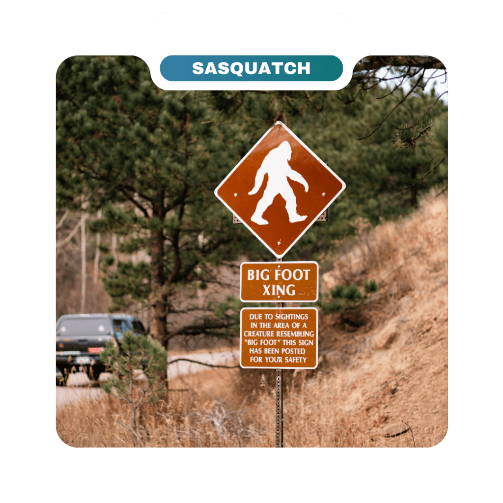 Brown "Big Foot Xing" road sign with a silhouette of Bigfoot; car driving on road in a forested area—humorous warning about potential sightings for curious destinations seekers and local homeowners alike.