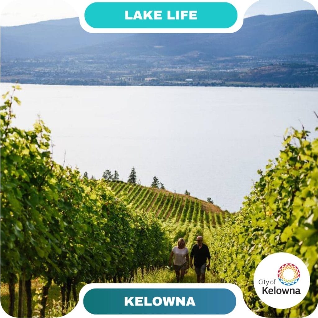 Two guests stroll through a hillside vineyard overlooking a large lake, with mountains framing the scene. "Lake Life" and "Kelowna" text banners highlight one of the region’s most scenic destinations.
