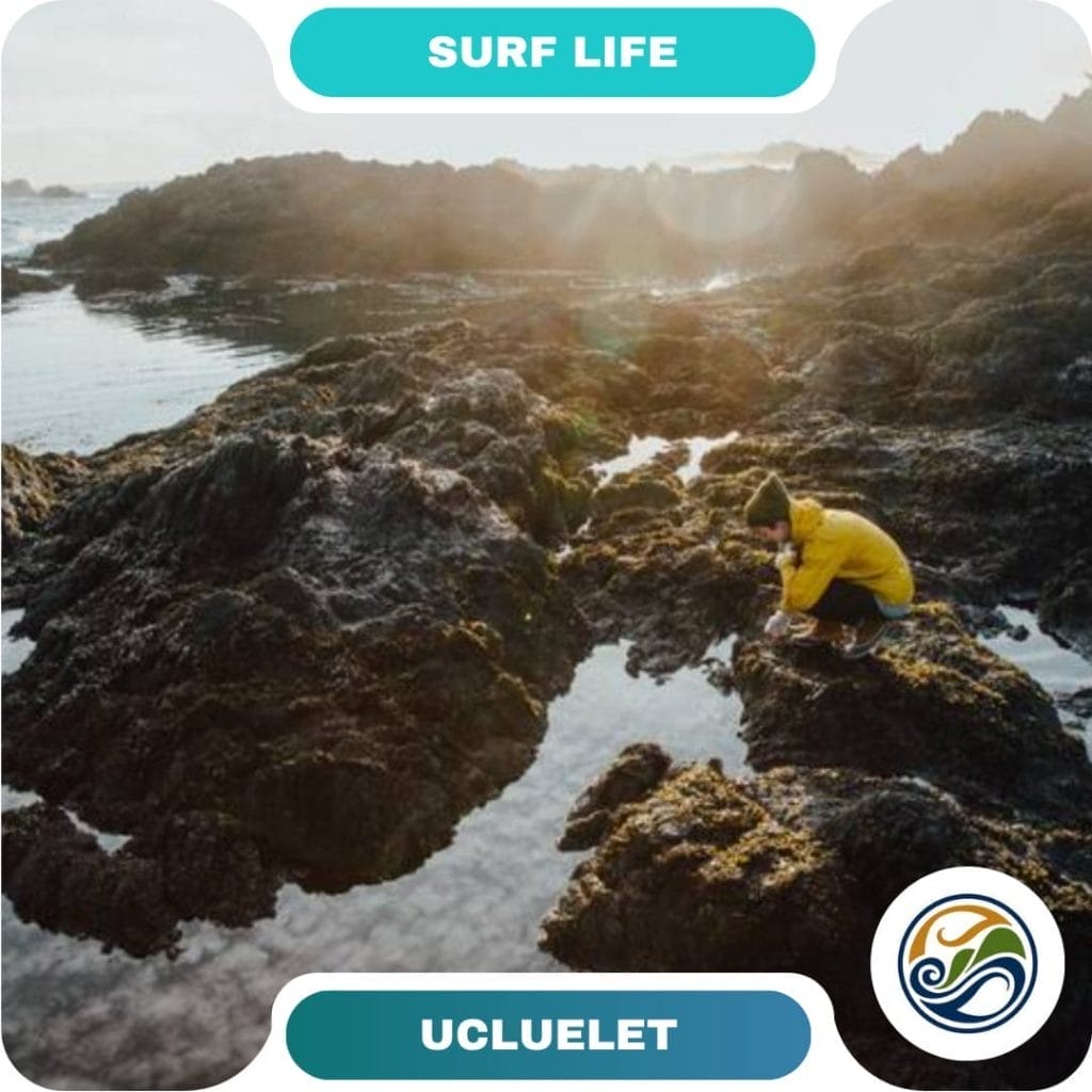 A person in a yellow jacket crouches on rocky tide pools by the ocean under cloudy skies. Destinations are highlighted as text reads "Surf Life" and "Ucluelet" with a wave logo in the corner.